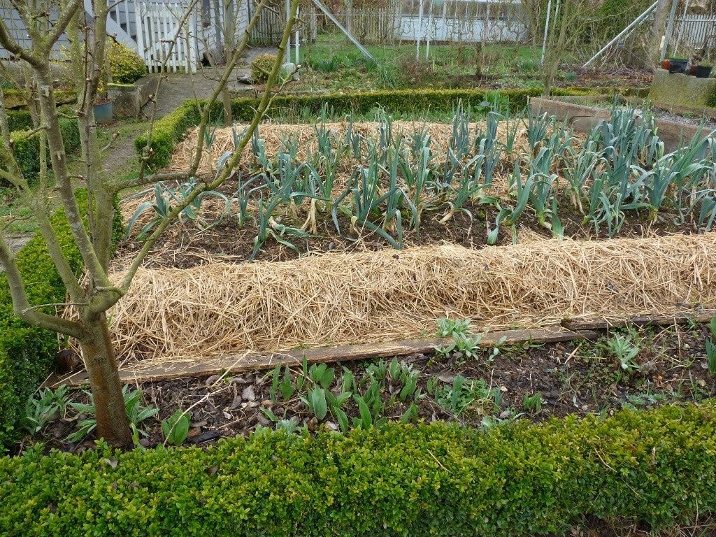 Paille Filtrante Survie, Permaculture Potager