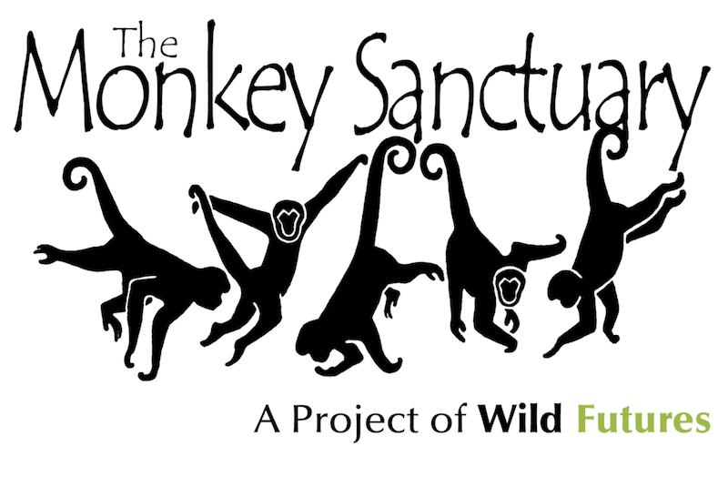 Monkey Sanctuary: du bénévolat à la rescousse des singes laineux - La petite découverte de Kantu