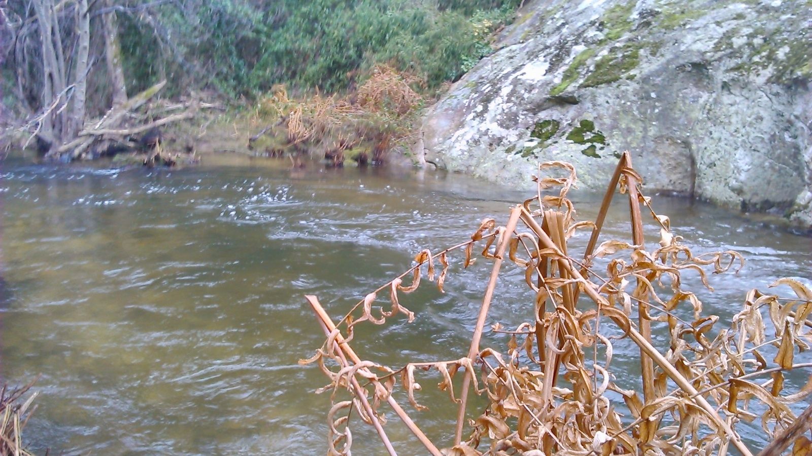 Divorcer les vers dans le potager pour la pêche