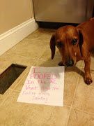 Dog Shaming. http://dogshaming.com/. This is a fun website.bad dogs.