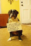 This dog shaming post made me laugh out loud: