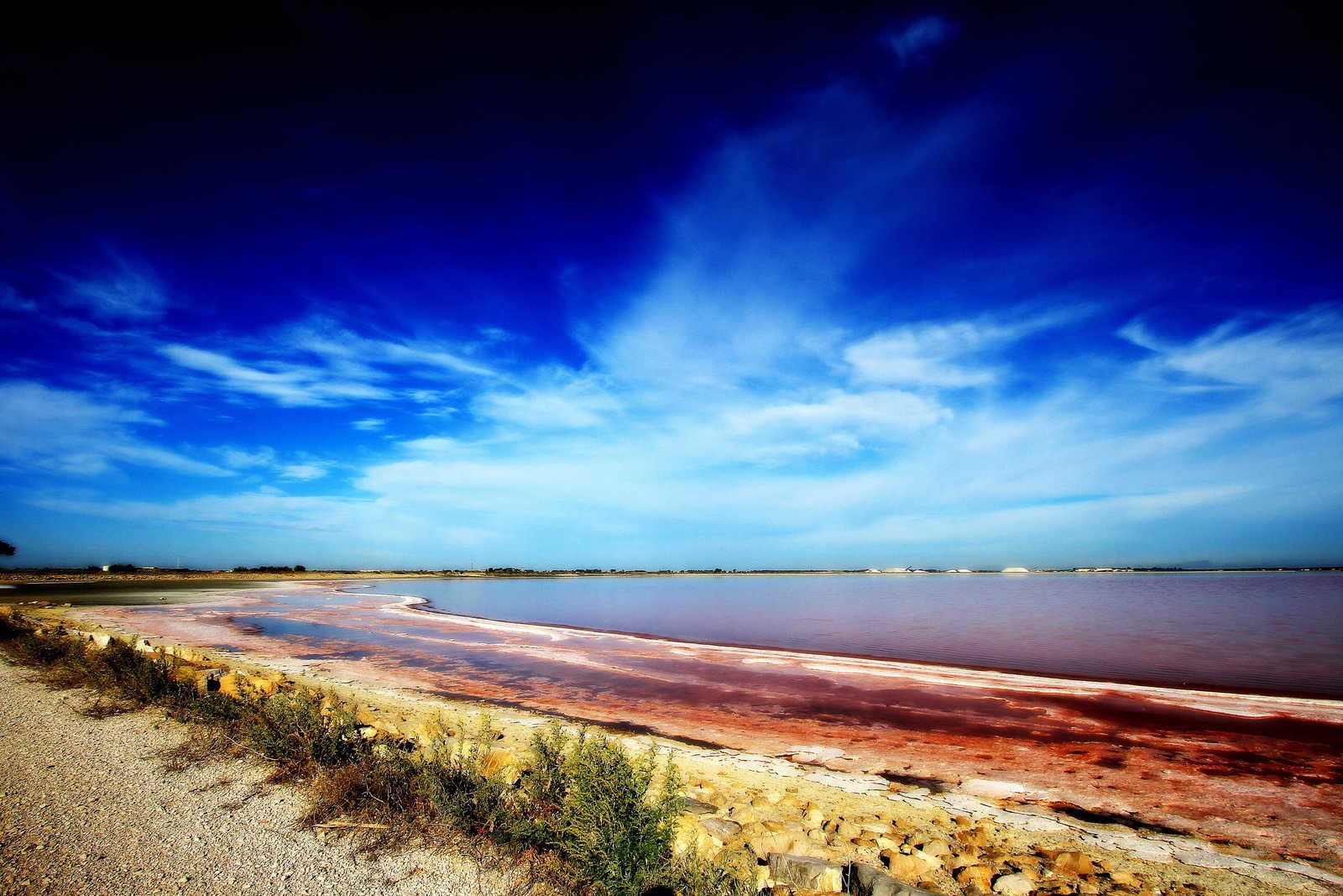 Les Salins du Midi (Life on Mars) Histoire d'une Image