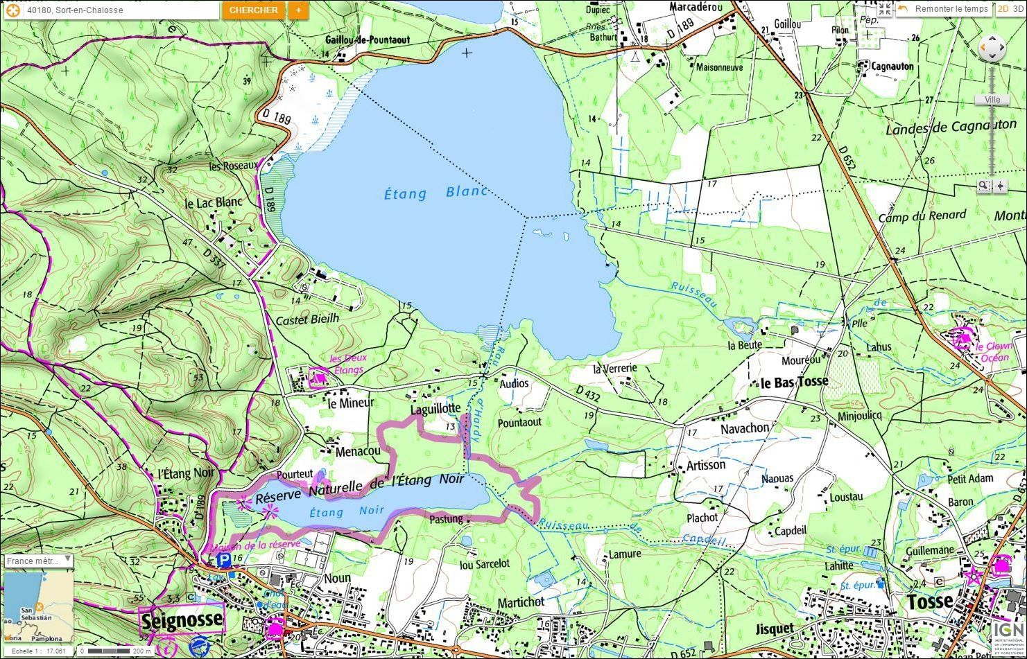 Etang Blanc, Seignosse ( Landes 40 ) A