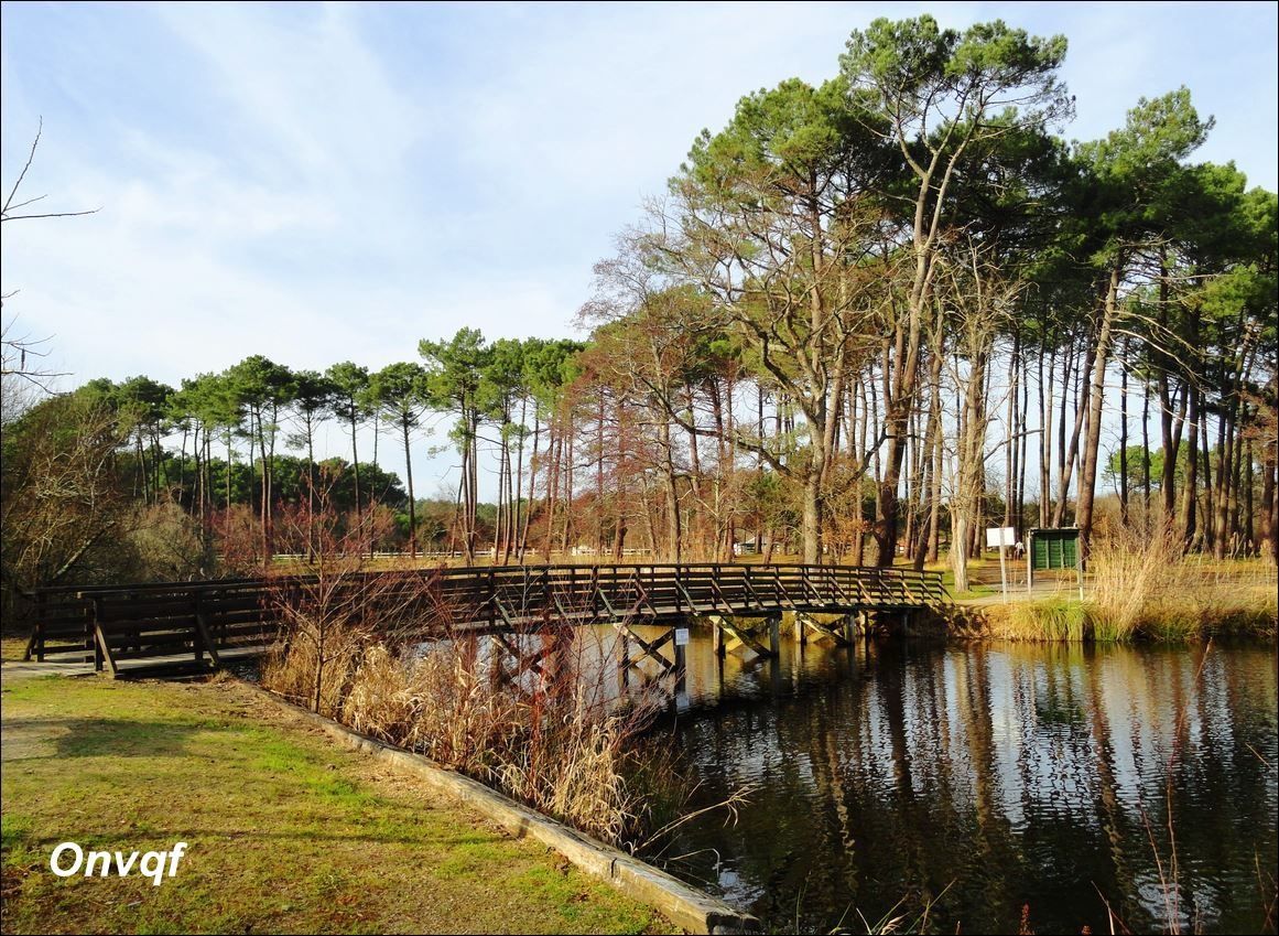 Etang de Mimizan / Etang d'Aureilhan (Landes 40) AA Promenade -  ONVQF.over-blog.com