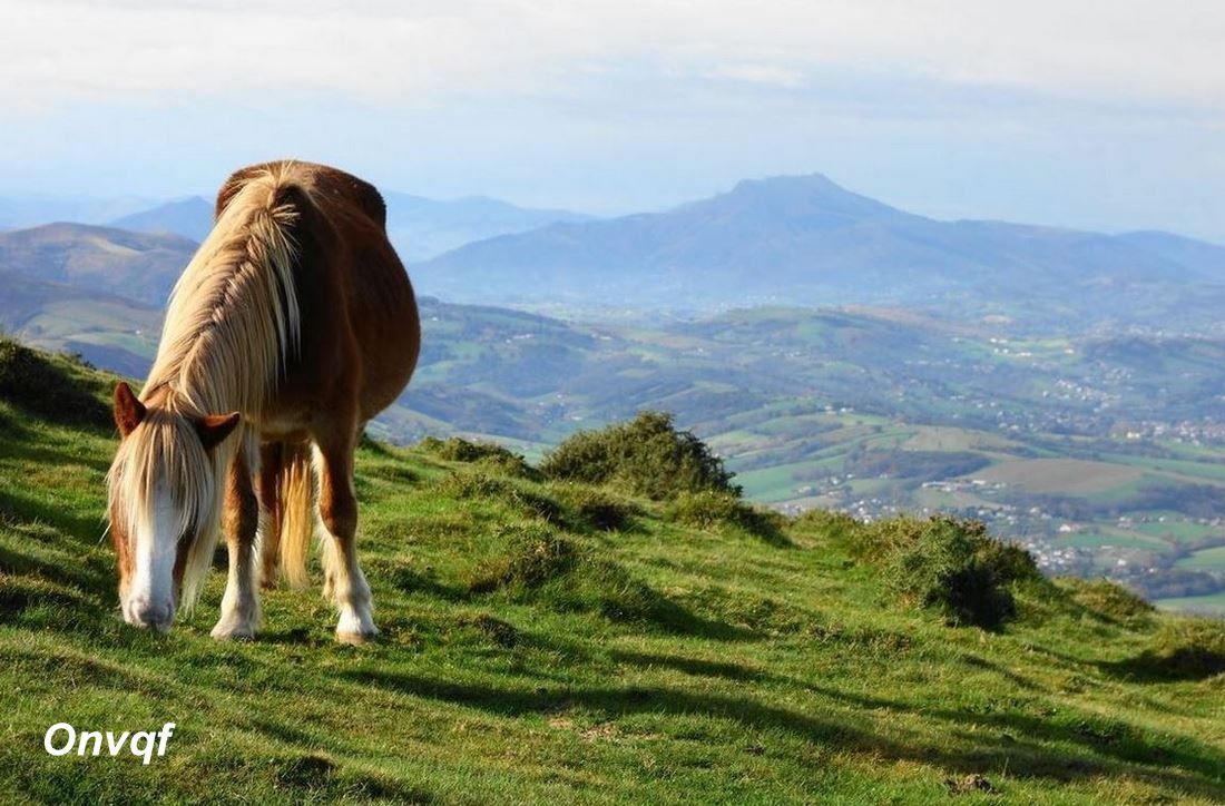 faire des rencontres au pays basque