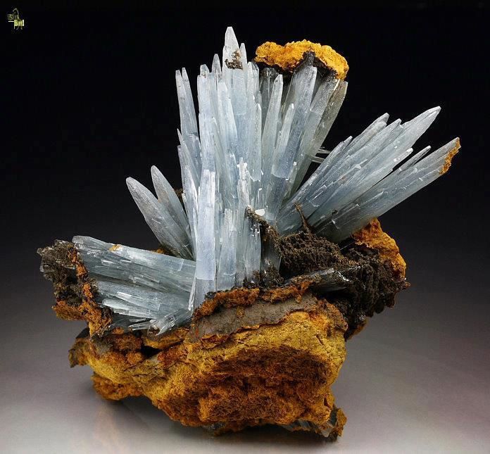 Barite Bleue de Sidi Lahcen mine, Nador, Oriental Region, Maroc (Photo: Quebul Fine Minerals)