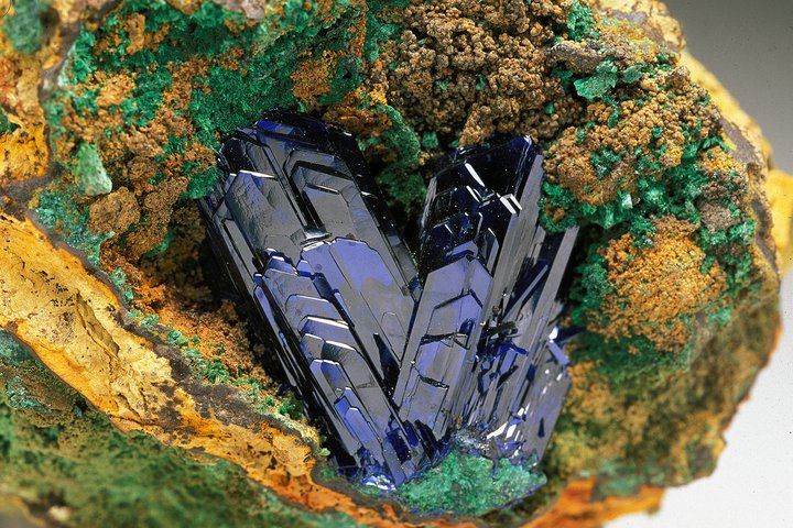 Azurite de Sardaigne, Italie (pièce de Museo Di Mineralogia Sapienza)