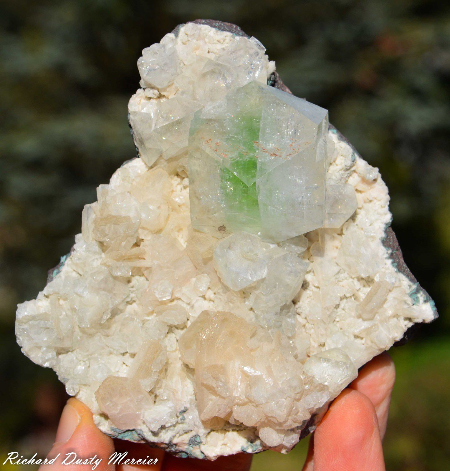 Green Apphyllite with Stilbite from Indori Mine, near Talagaon, India (size: Small Cabinet)