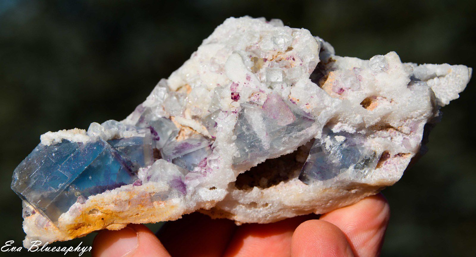 Fluorite from Le Beix, Puy de Dôme, France (size: Cabinet)