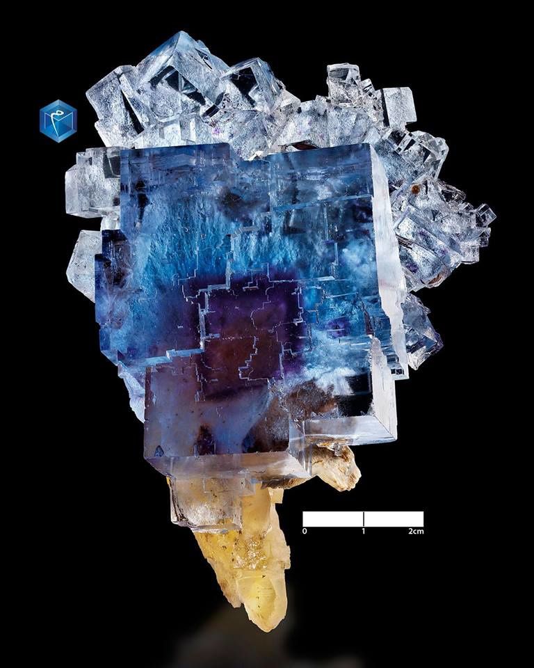 Fluorite from Denton Mine, Cave-in-Rock, Hardin County, Illinois, USA  (specimen and photo by Mim museum)