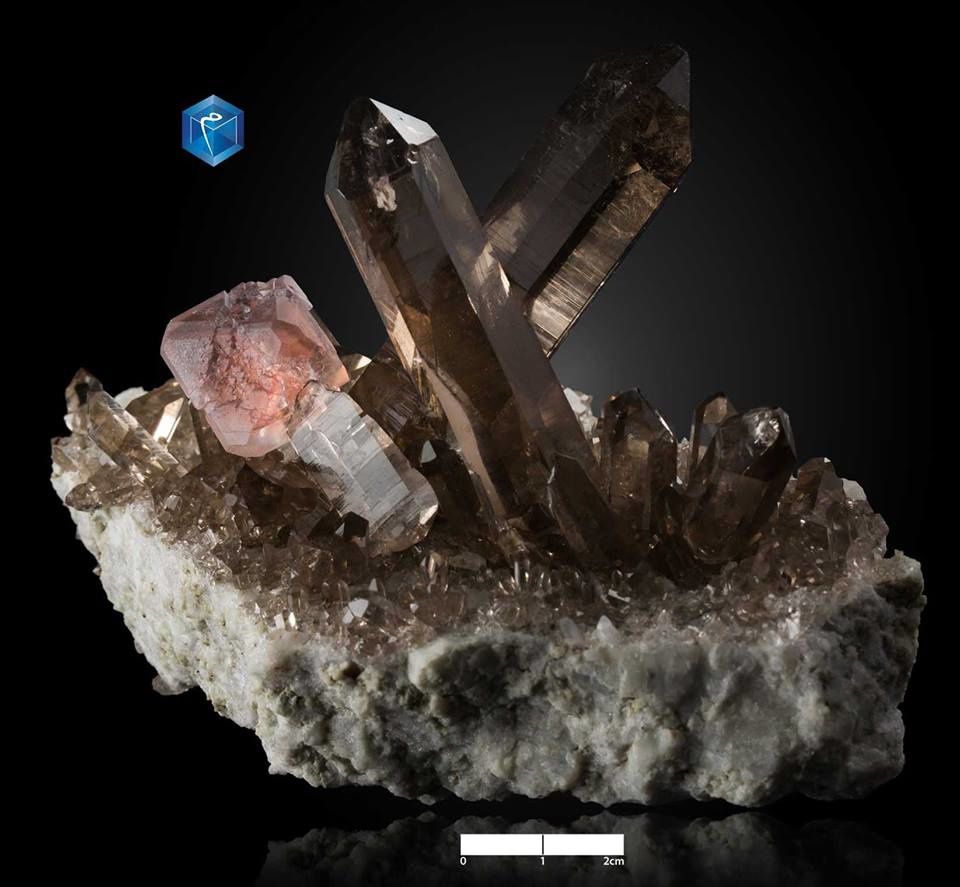 Pink Fluorite on Quartz from Mont Blanc, Alpes, Suisse (specimen and photo by Mim museum)