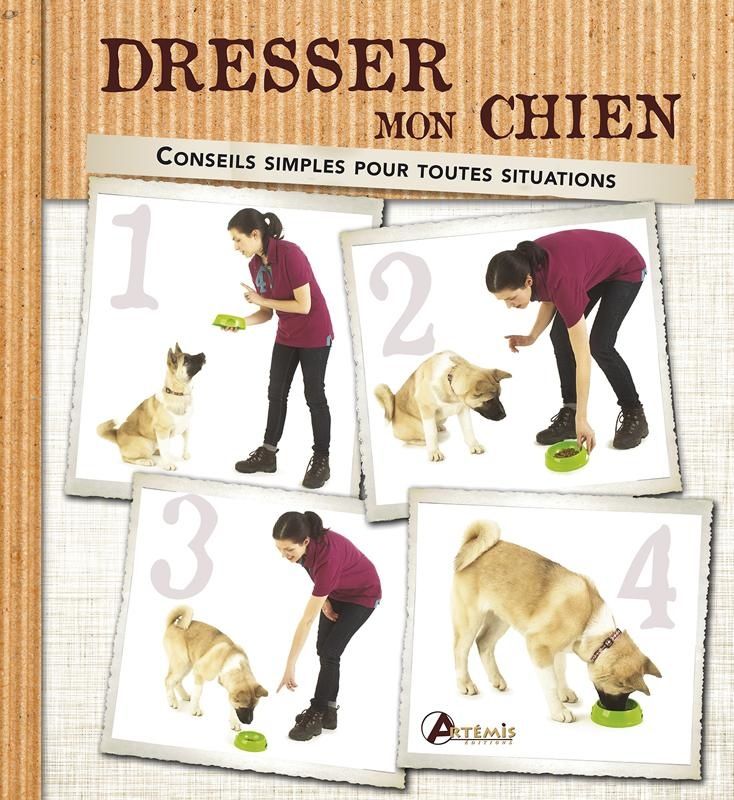 Le dressage - Fan des animaux Le dressage - Fan des animaux