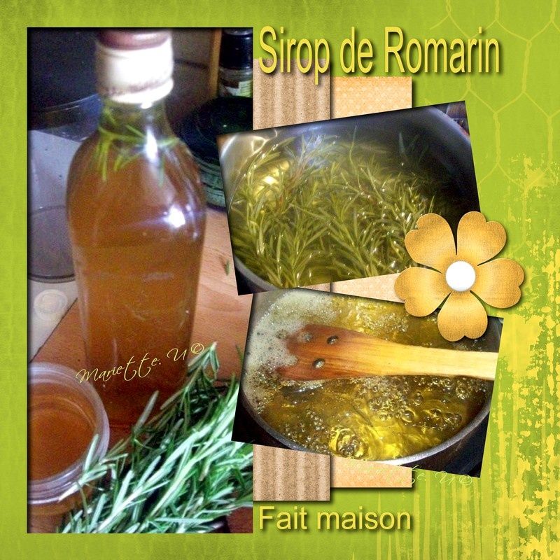 Sirop de romarin fait maison