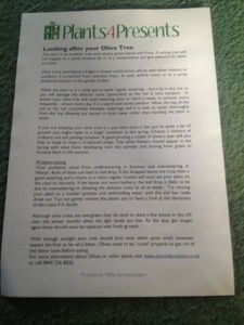 20130207-142022.jpg