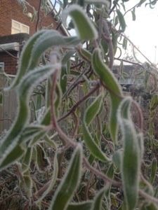 20121213-095514.jpg