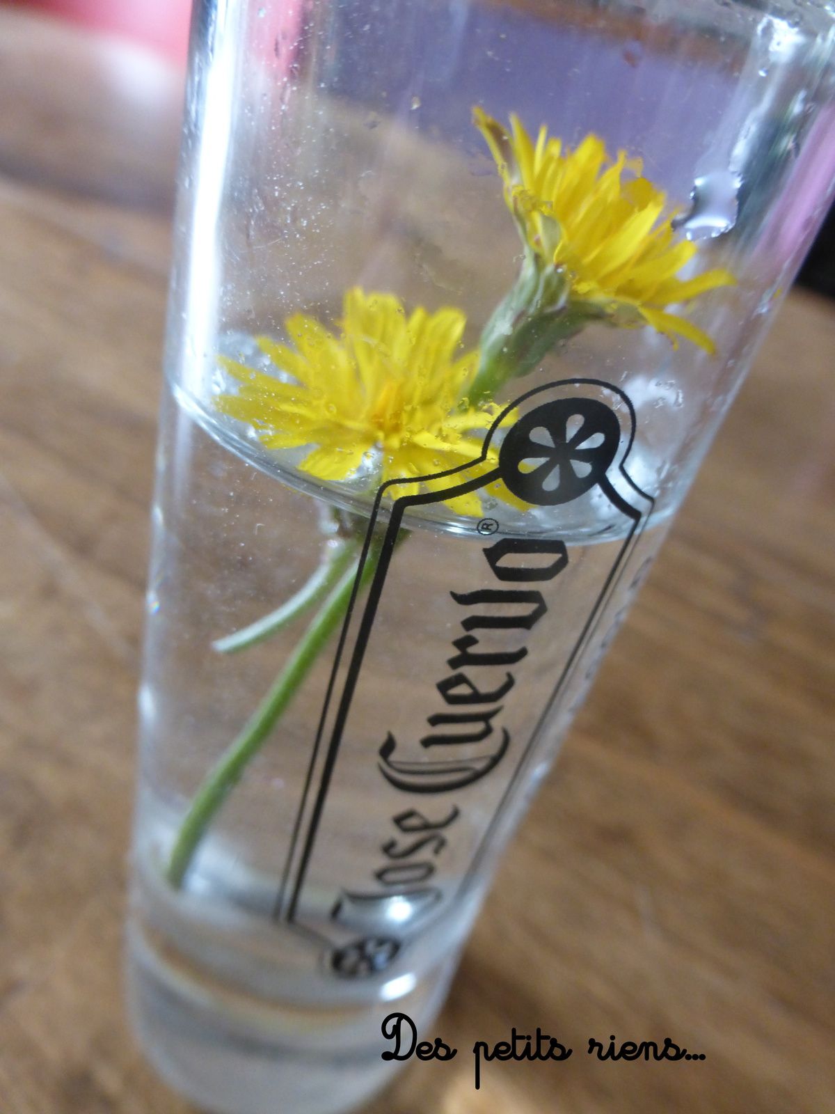 Des mini fleurs cueillies par Eléane dans un mini vase...