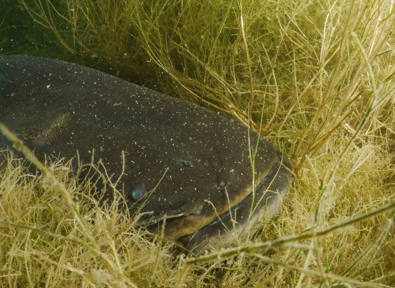 rencontre entre eau douce et eau salée