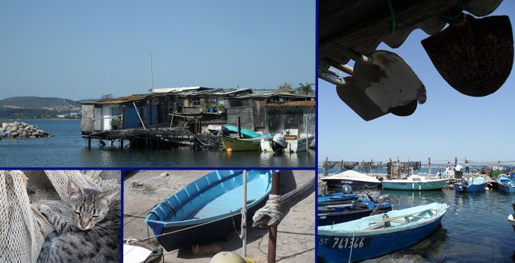 rencontre sete