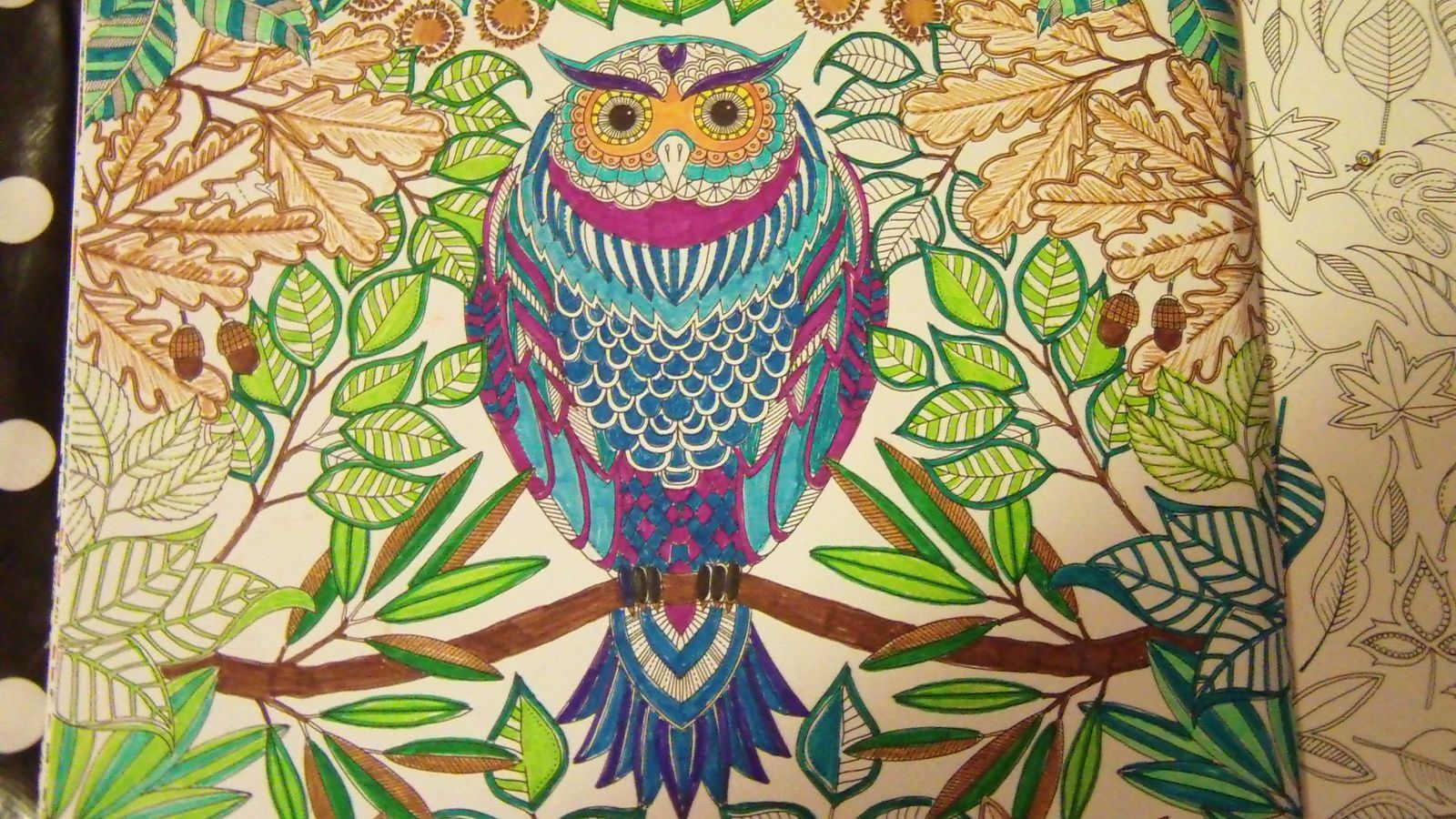 Originaires de l Inde et du Tibet dans la religion boudhiste les "Mandalas" sont une expression artistique de méditation et donc de sérénité