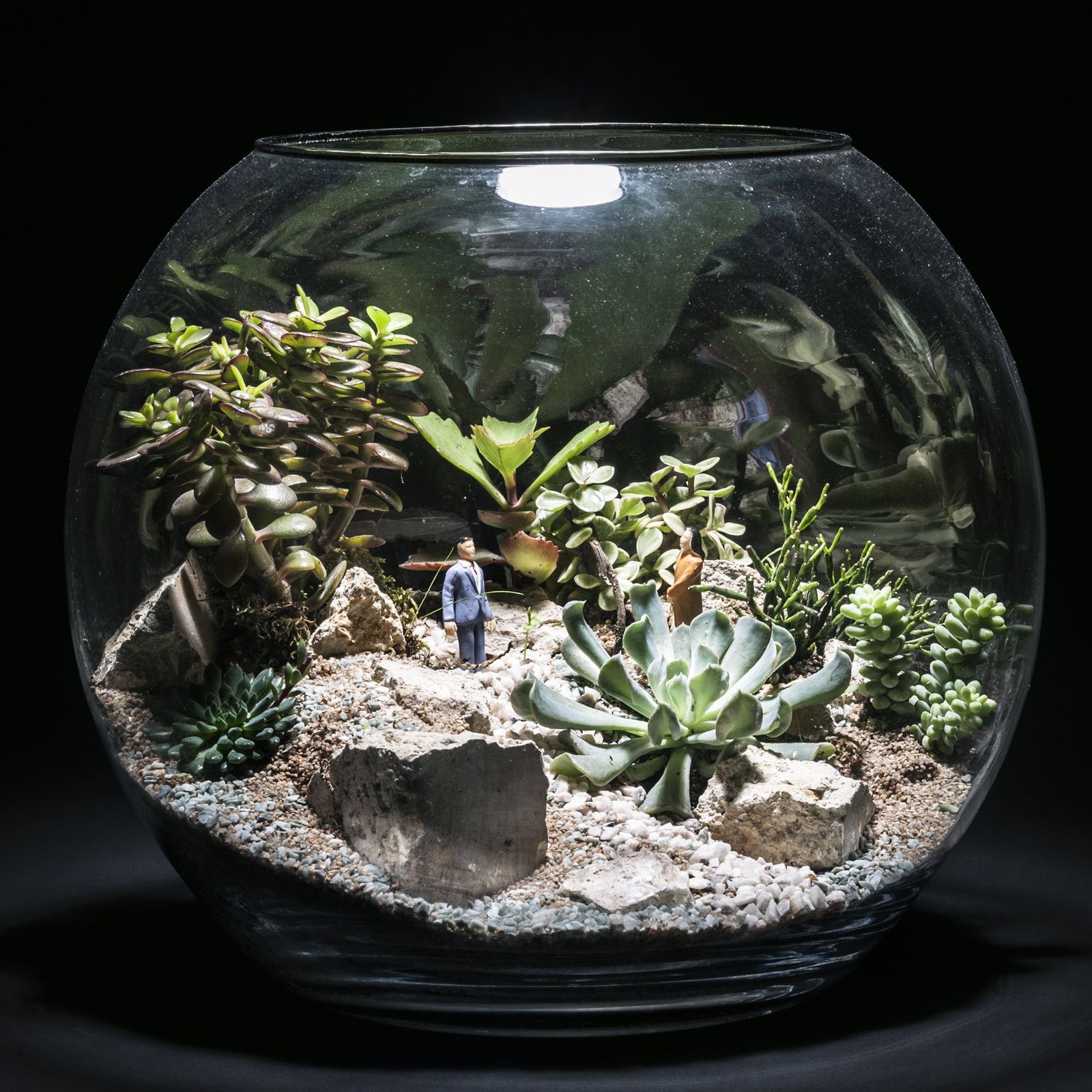 Decor Aquarium Desert Decor Aquarium Desert