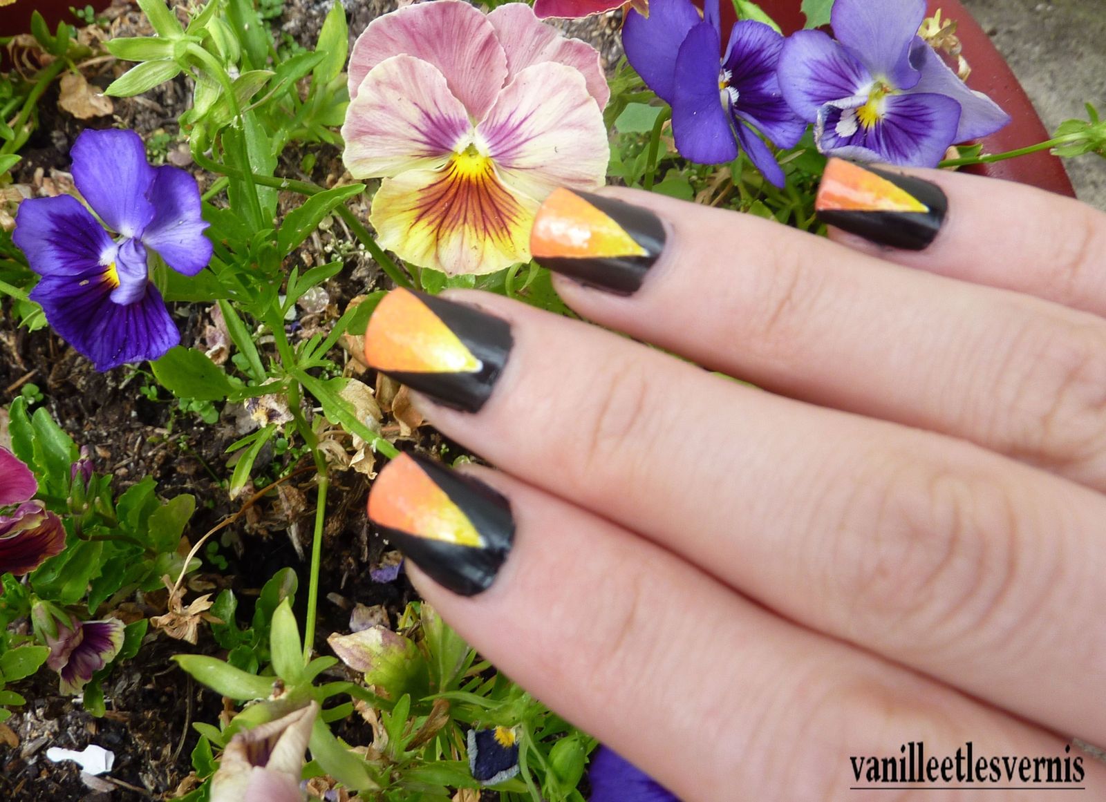 avec mes ptites fleurs de la terrasse! ;)