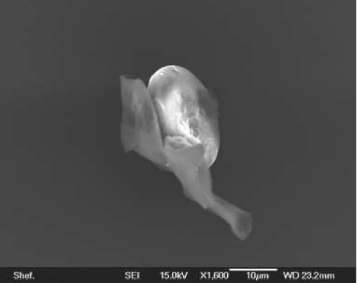 Exobiologie: la vie peut aparaitre dans les milieux interstellaires Ob_8a8e13_capture-d-ecran-2013-12-14-a-00-17-18