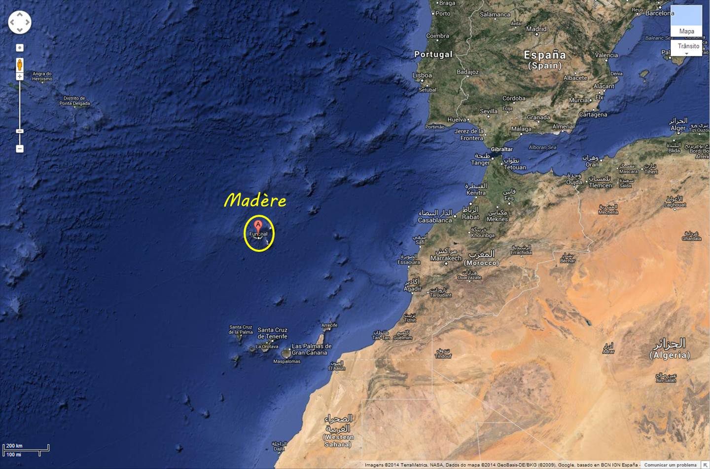 a quel animal les iles canaries doivent-elles leur nom