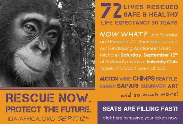 Please Join Us For The 5th Annual IDA-Africa Gala!