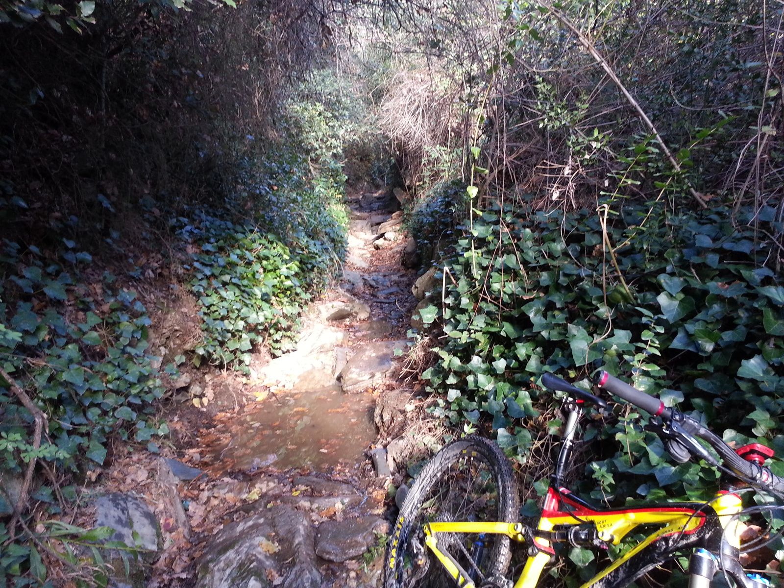 le Canigou prend ses couleurs d'hiver