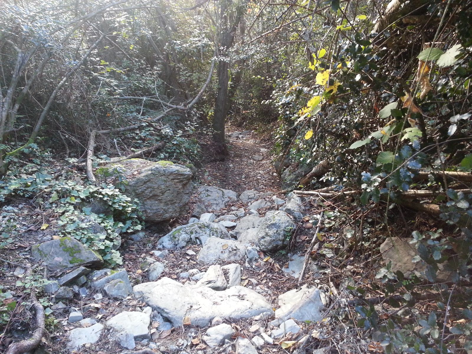 le Canigou prend ses couleurs d'hiver