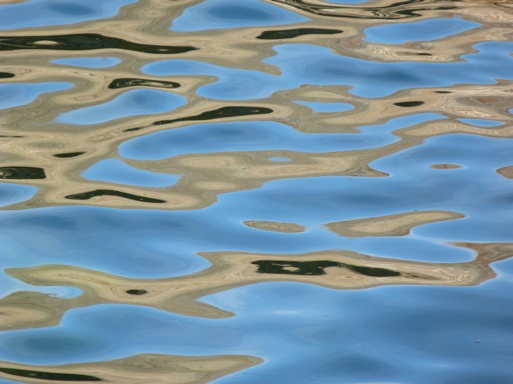 rencontre eau douce eau salée