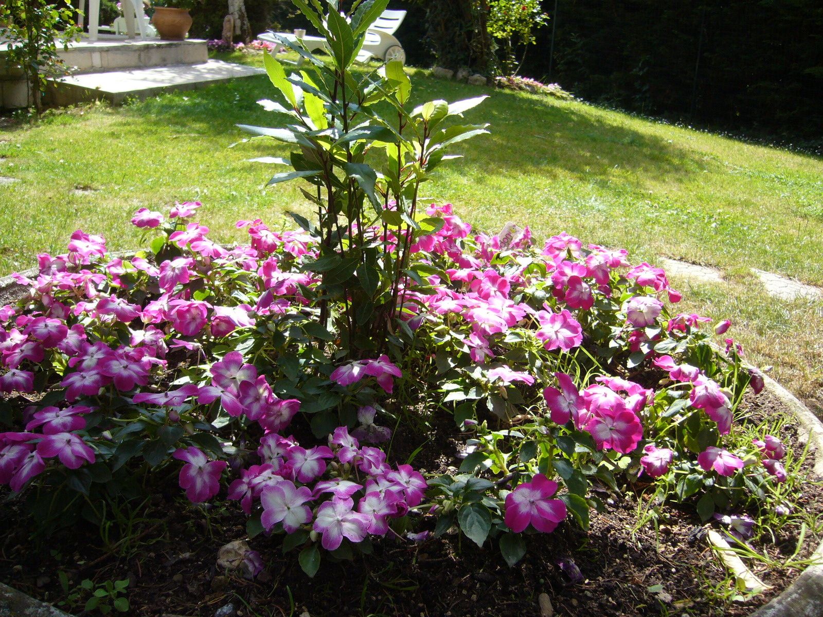 Il Faut Cultiver Notre Jardin Voltaire Partie 5 Petits Massifs Frederique Monnier