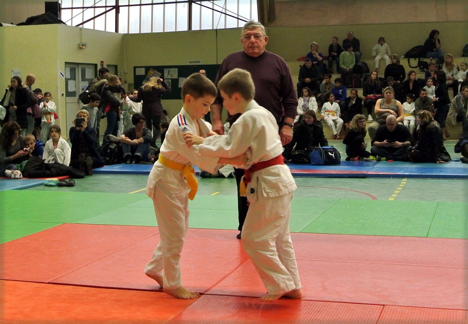 club judo doue la fontaine