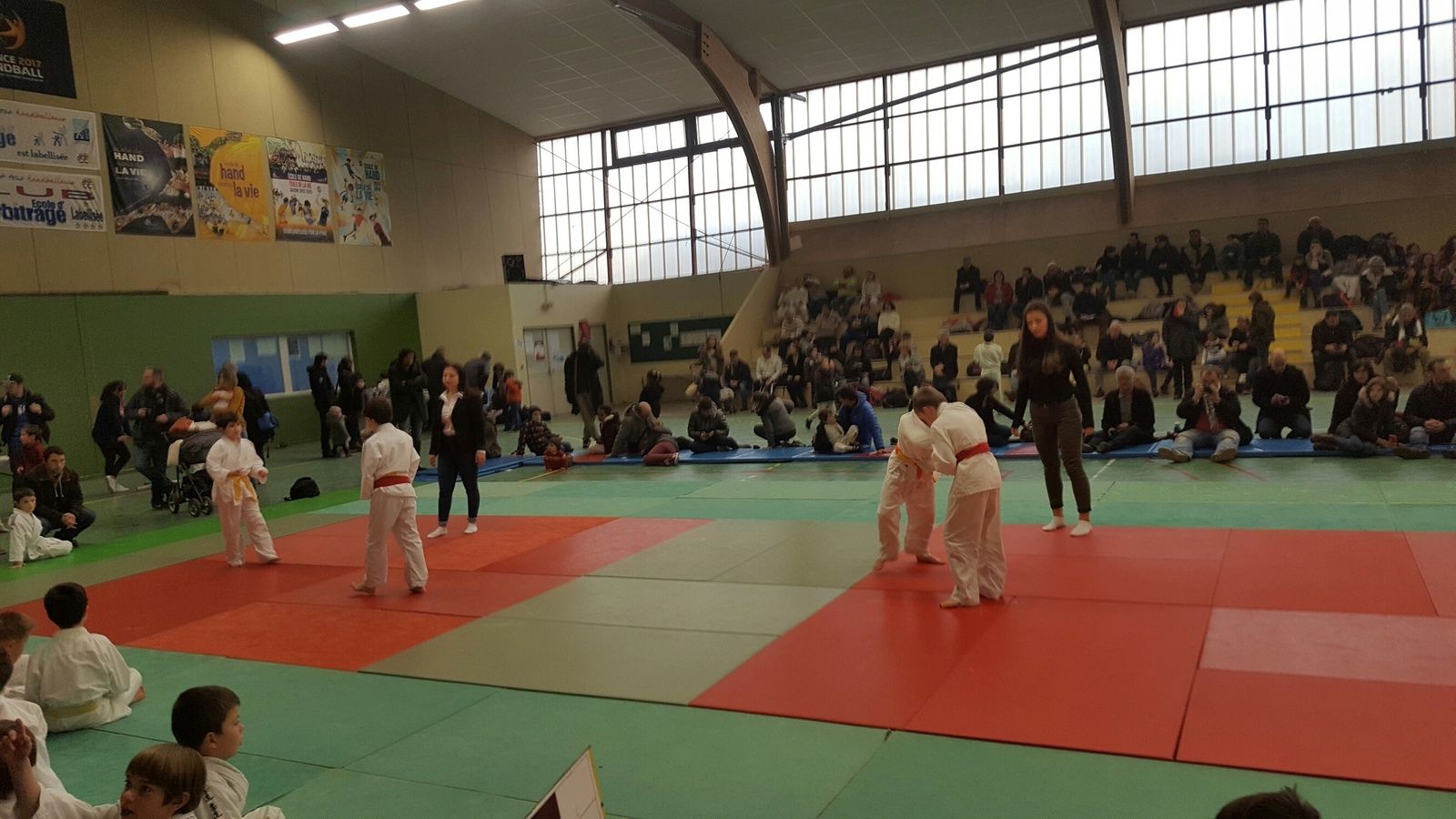 club judo doue la fontaine