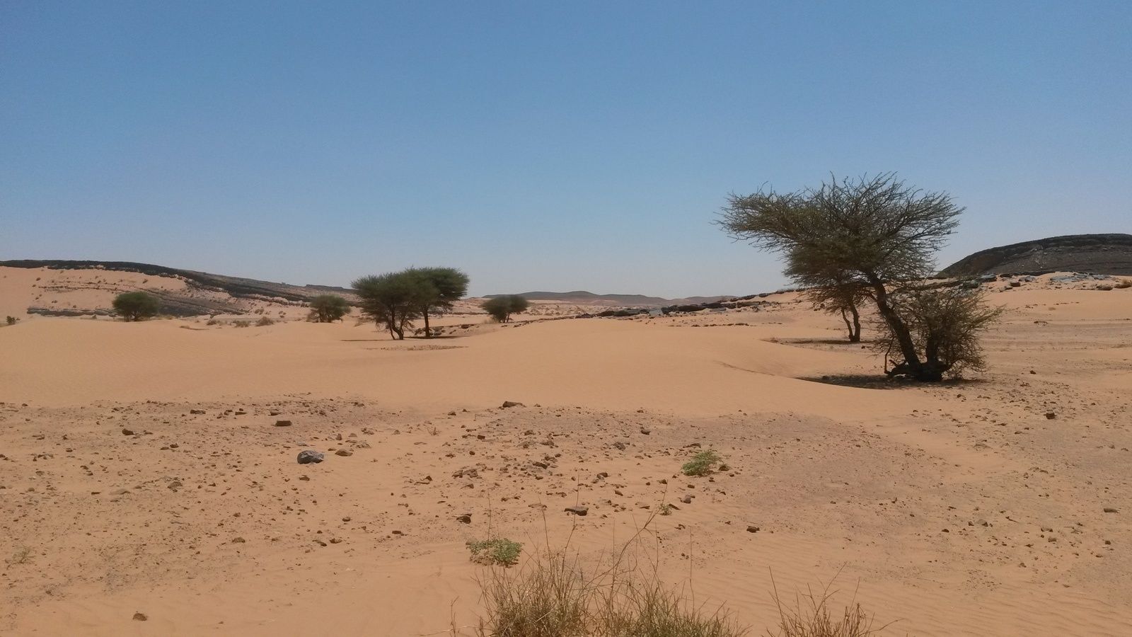 Le Morocco Sand Express est prêt !!! 2è édition de notre rallye maroc