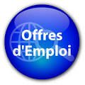 OFFRE D'EMPLOI: Développeur informatique