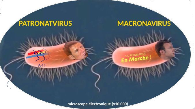 Pandémie et préventions. Coronavirus, macronavirus et patronatvirus