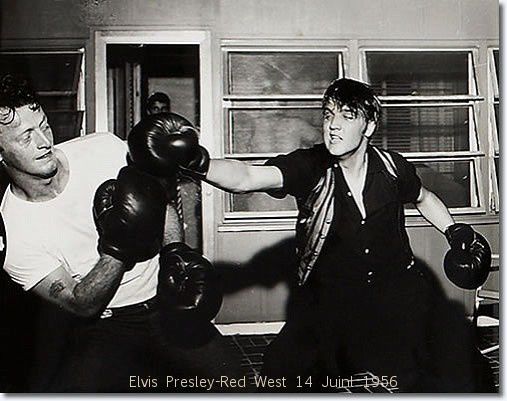Photos Elvis Presley 1956