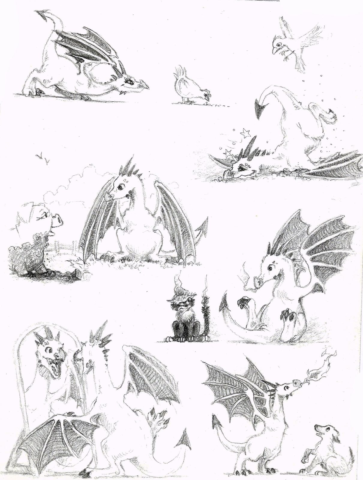 Le p'tit dragon