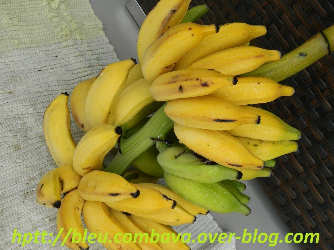 Ce sont les fruits que j'ai utilisés, une variété de bananes succulentes, sucrées et onctueuses qui mesurent une dizaine de centimètres. Un régal!