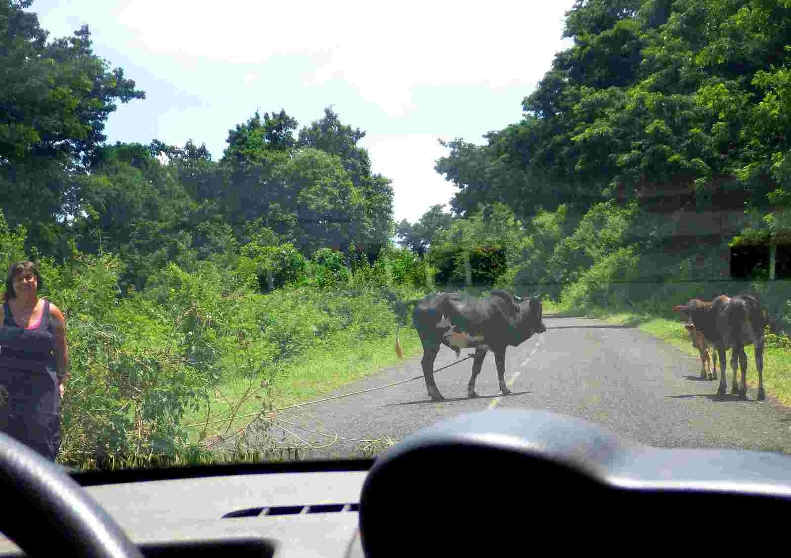rencontre mahoraise