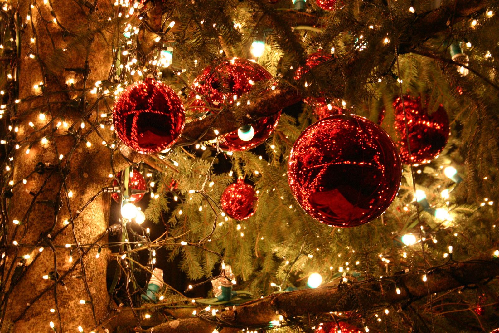 Noël, le 25 décembre : le passage d’un culte païen à la célébration chrétienne - Le blog d' Anne 