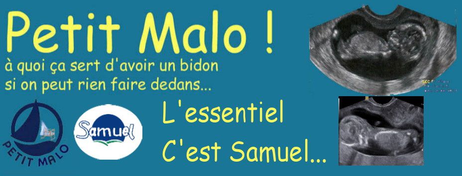 Le blog de Malo, Samuel et Soline