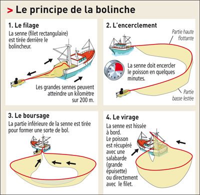 Purse seine fishing : how does it work ? - Purse seining