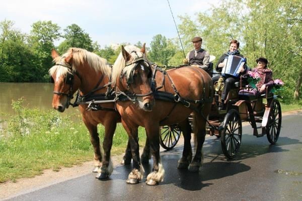sylvie accordeoniste - eragny sur oise - 95