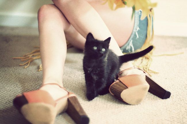 Wildfox Couture, Jessica Simpson Dany platform sandals, Seventies Fashion, Hippie Fashion, Black cat, Black Kitten, Outfit