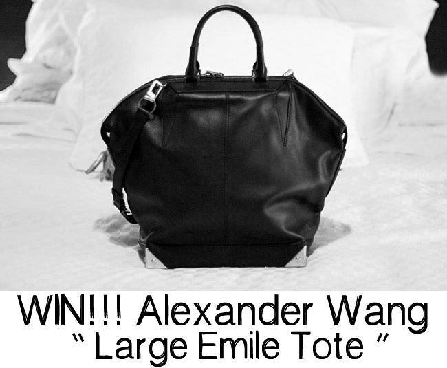 Alexander Wang Large Emile Tote, Fashion bags