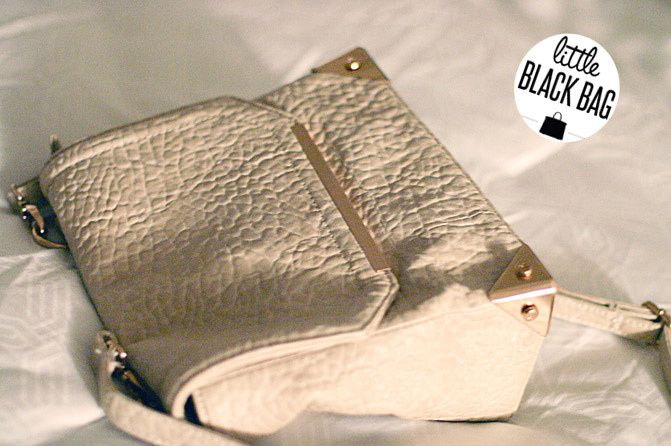Little Black Bag, Alexander Wang style handbag, Fashion