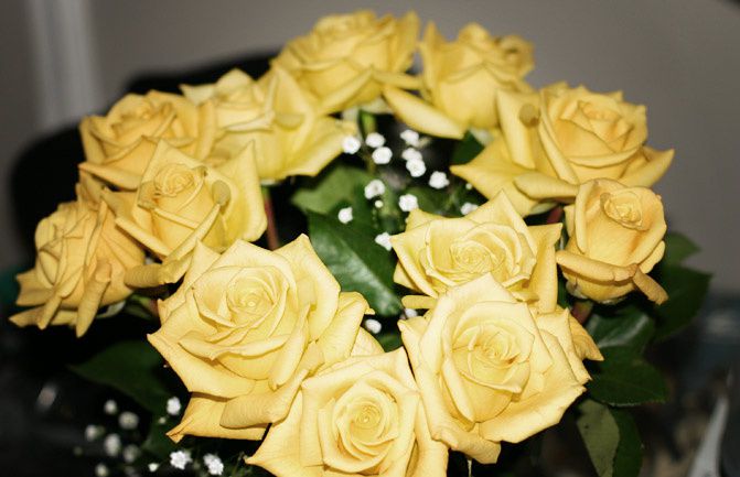 yellow roses, fashion, blair waldorf, gossip girl, carrie bradshaw