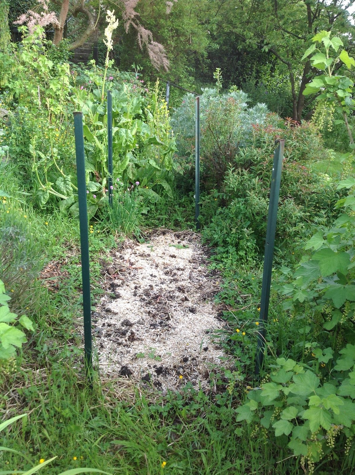 Remonter la serre à tomates et éviter qu'elle ne s'envole! l ...